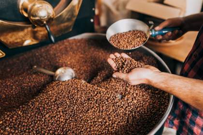 Atelier BARISTA &amp; LATTE ART Grains