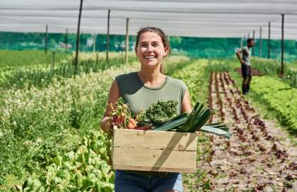 Formation en ligne Cuisine Restauration · Auguste Académie